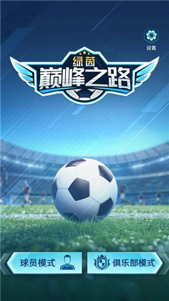 绿茵巅峰之路