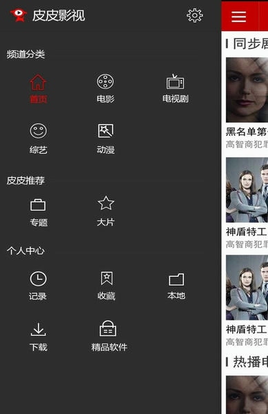皮皮影视