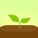 Forest专注森林app最新版