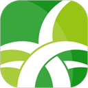 野草助手官方版