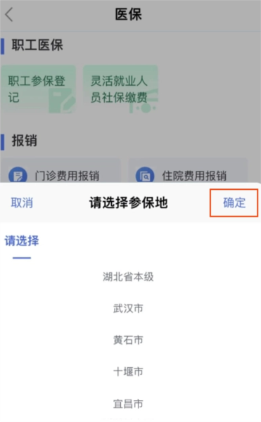鄂汇办湖北健康码app9