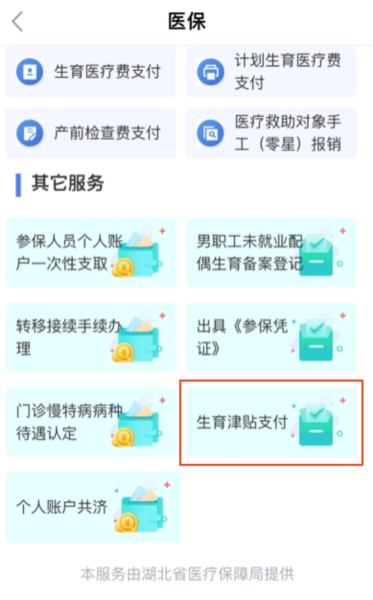 鄂汇办湖北健康码app8