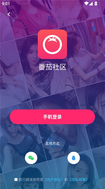 番茄社区app官方