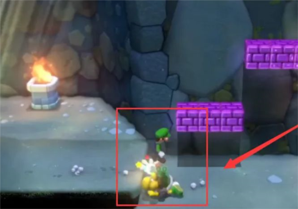 怎样拿龟壳配图2