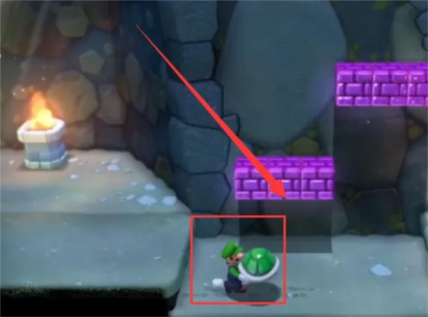 怎样拿龟壳配图4