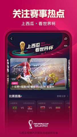 西瓜视频横屏版