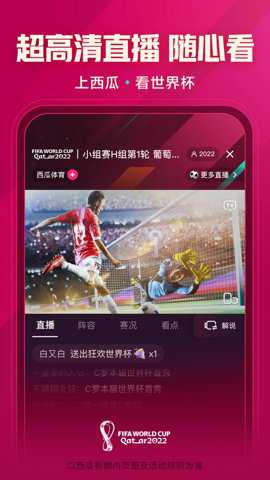 西瓜视频横屏版