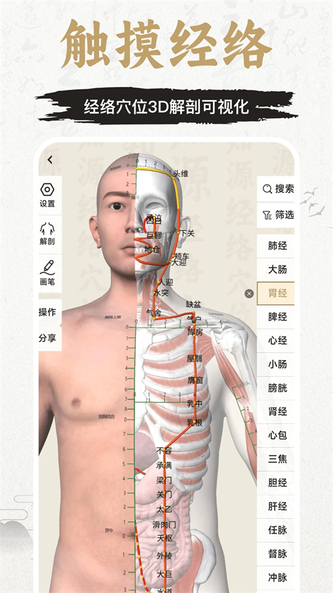 中济经络穴位app最新版