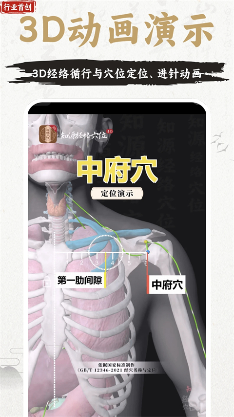 中济经络穴位app最新版