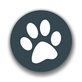 兽音译者app安卓版