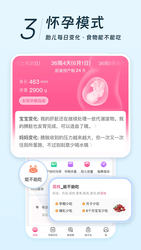 美柚app官方版
