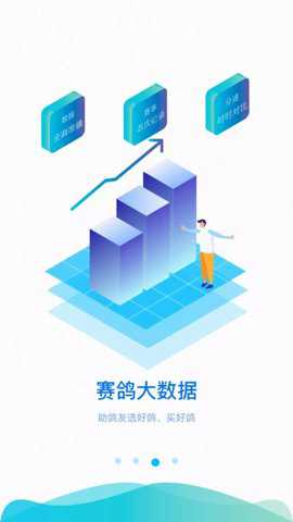 中鸽网