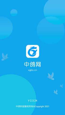 中鸽网