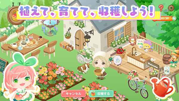 城市中的可爱花园最新版