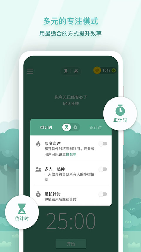 Forest专注森林