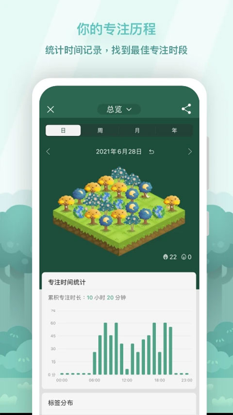 Forest专注森林