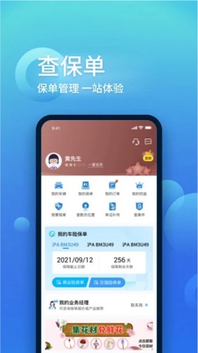 中国大地保险