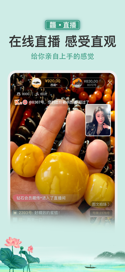 龘藏