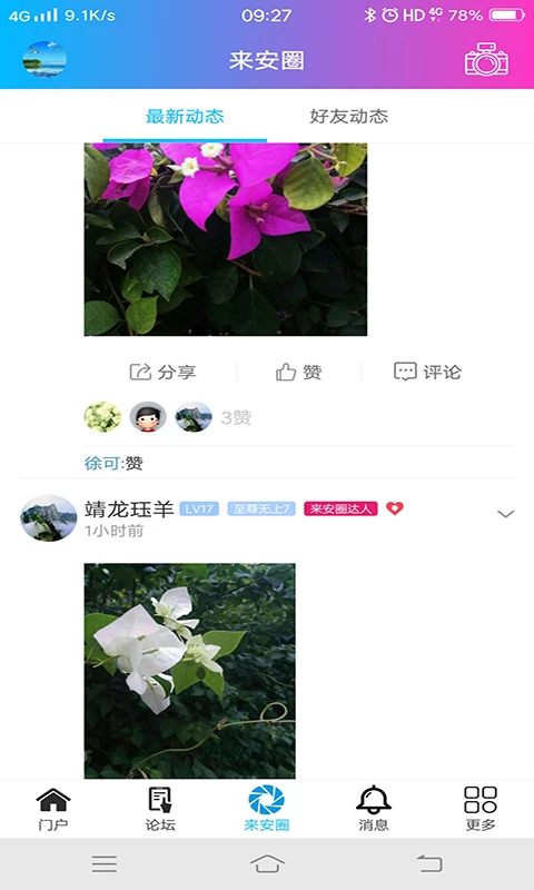 来安论坛