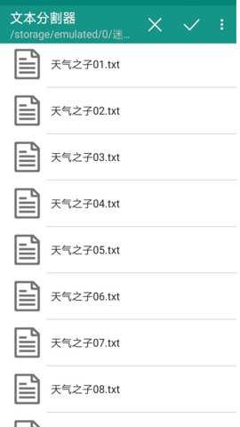 文本分割器
