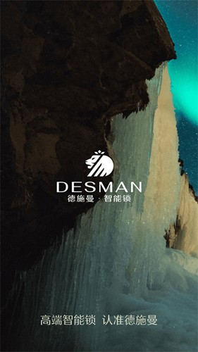 德施曼智能锁