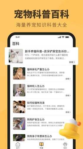 宠本本