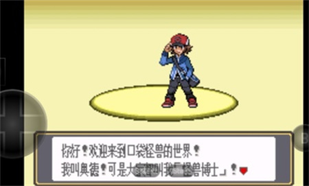 口袋妖怪黑白2