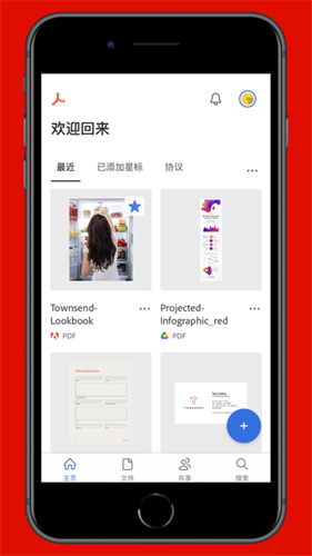 adobe acrobat