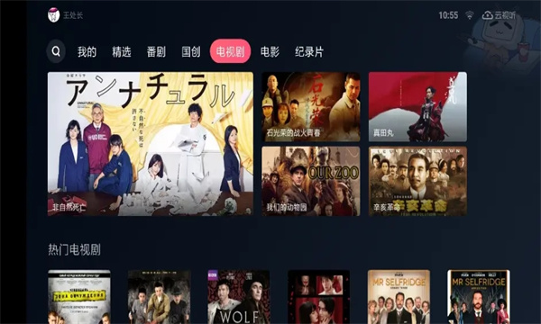 哔哩哔哩TV版