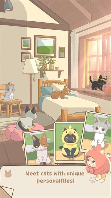窗外的猫