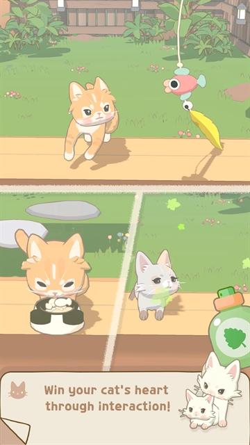 窗外的猫