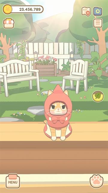 窗外的猫