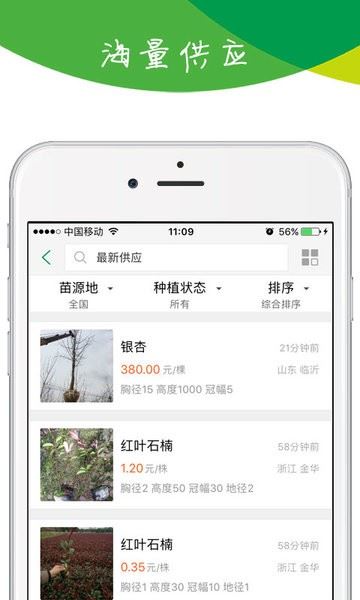 苗木宝