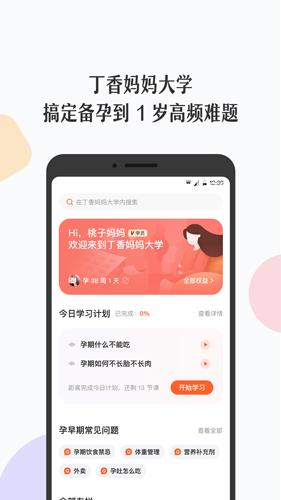 丁香妈妈