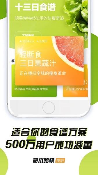 哥本哈根减肥食谱