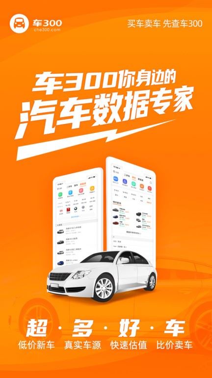 车300二手车app官方最新版