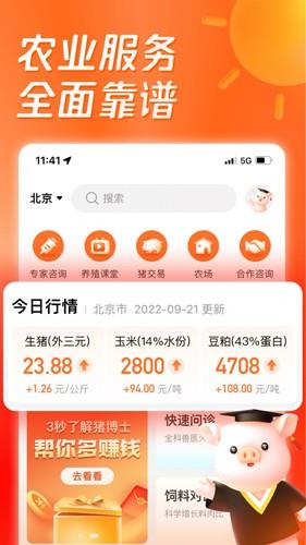 正大猪博士