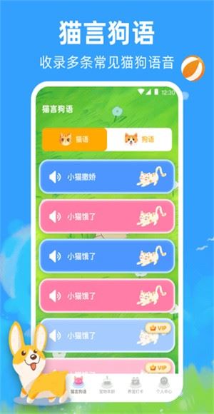 宠物猫咪翻译器