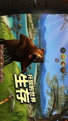 辐射岛