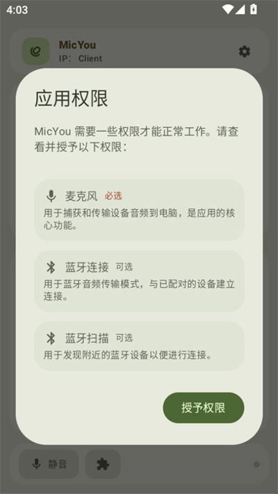 MicYou