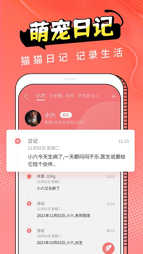 pet猫翻译