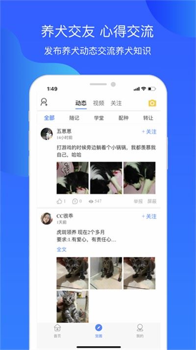 犬卫士app官方安卓版