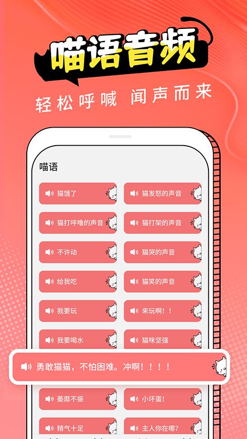pet猫翻译