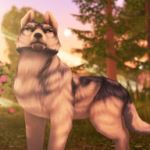 狼族The Wolf