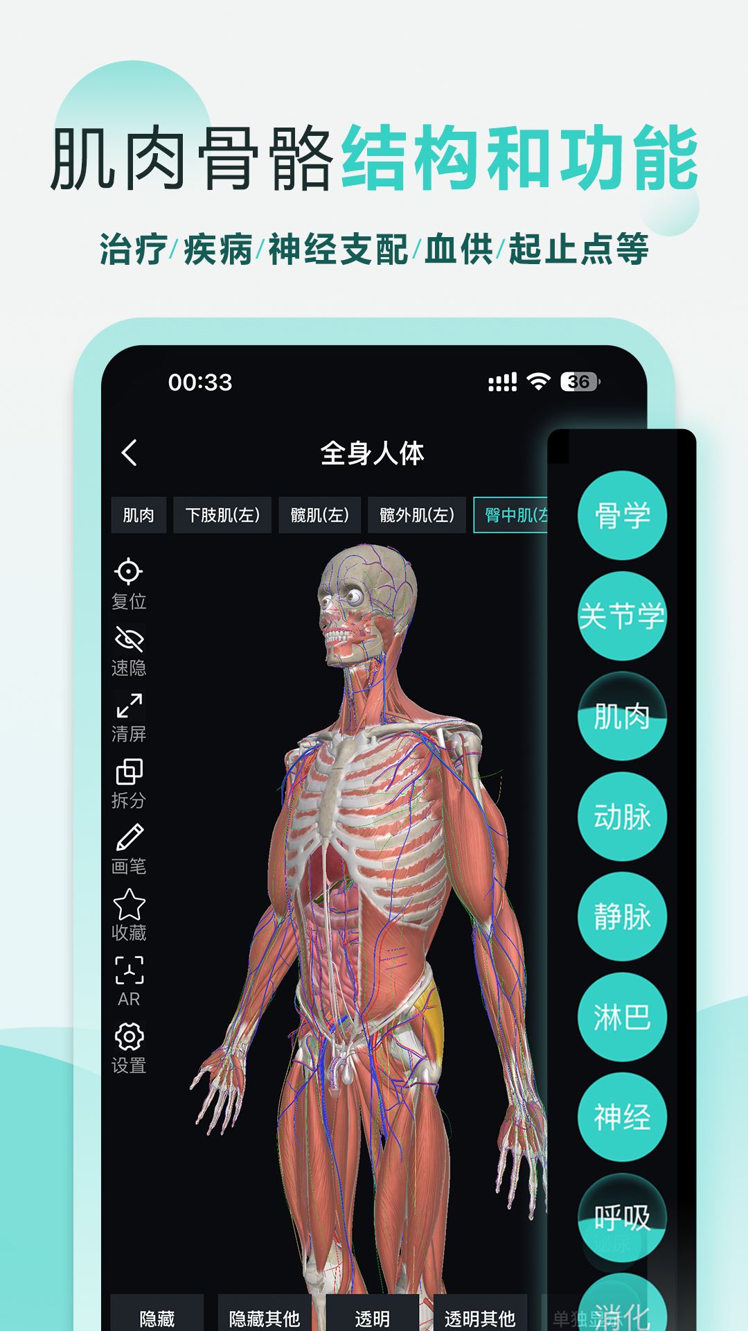 掌上3D解剖