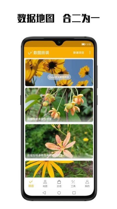 数图田调