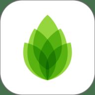 芦笋录屏