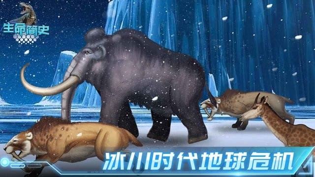 生命简史