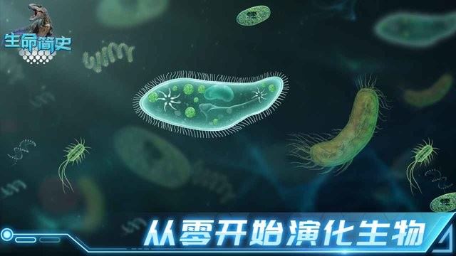 生命简史