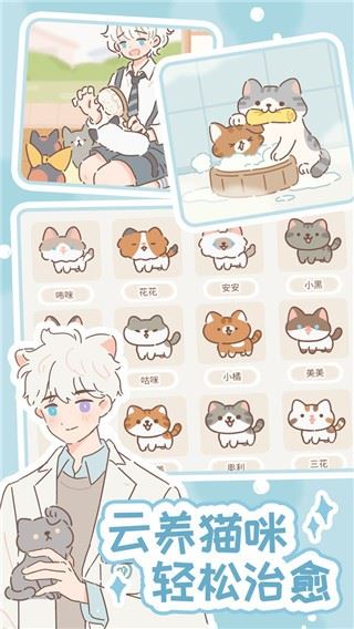 遇见你的猫